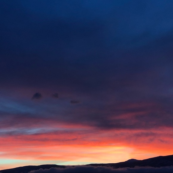 Meet your Posher, Rianna - Picture 1 of 1